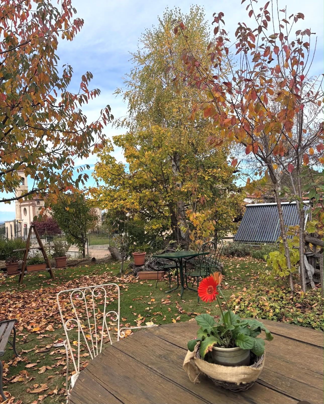 I colori d’autunno in giardino