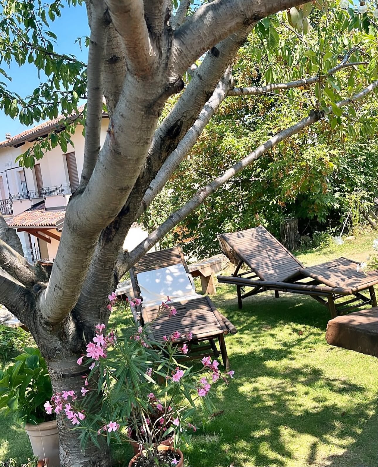 Un momento di riposo all’ombra degli alberi